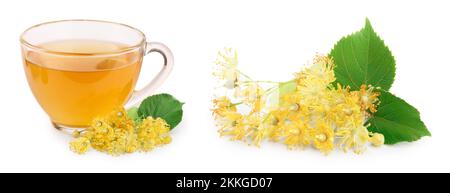 Tè di fiori di tiglio in coppa di vetro con grappoli di fiori di tiglio isolati su sfondo bianco Foto Stock