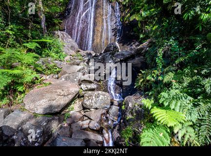 Cascate di la Coca nel Parco Nazionale della Foresta pluviale di El Yunque, sull'isola tropicale dei Caraibi di Puerto Rico, USA. Foto Stock