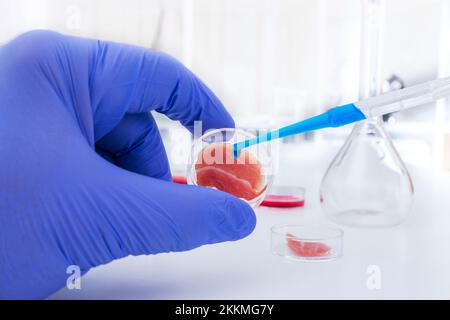 Carne coltivata in laboratorio, immagine concettuale Foto Stock