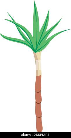 palme da cocco Illustrazione Vettoriale
