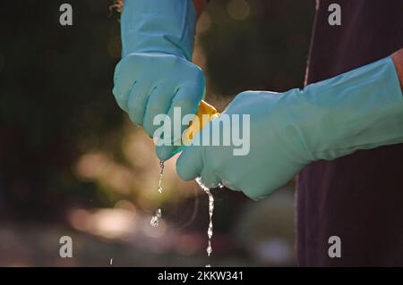 Primo piano, mani, guanti, strizzamento, strizzamento di un panno per la pulizia e scorrimento dell'acqua nei guanti Foto Stock