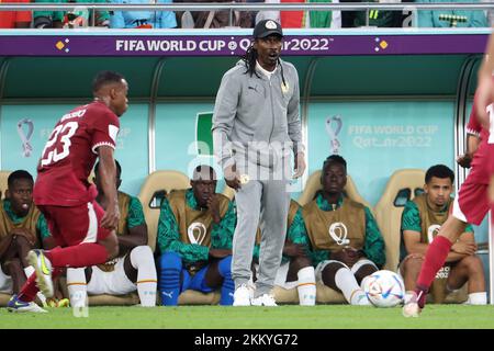 Doha, Qatar. 25th Nov 2022. Allenatore del Senegal Aliou Cisse durante la Coppa del mondo FIFA 2022, Gruppo A partita di calcio tra il Qatar e il Senegal il 25 novembre 2022 presso al Thumama Stadium di Doha, Qatar - Foto: Jean Catuffe/DPPI/LiveMedia Credit: Independent Photo Agency/Alamy Live News Foto Stock