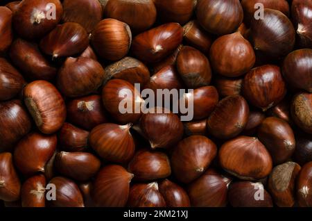 Castagne, sfondo dall'alto. Noci di castagne dolci, Castanea sativa. Può essere mangiato crudo, candito, cotto o macinato in farina, o torrefatto come spuntino. Foto Stock