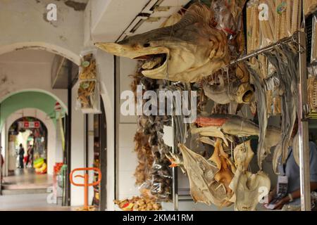 Ipoh, Perak, Malesia - Novembre 2012: Pinne di squalo e pesce secco assortito e frutti di mare in esposizione per la vendita al di fuori di un negozio locale nella città di Foto Stock