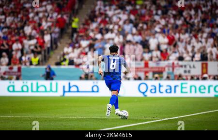 Doha, Qatar. 25th Nov 2022. Weston McKennie (USA) Inghilterra - USA World Cup 2022 in Qatar 25.11.2022 Credit: Moritz Muller/Alamy Live News Foto Stock