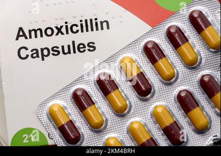 Amoxicillin capsule - antibiotico a base di penicilina per il trattamento delle infezioni Foto Stock