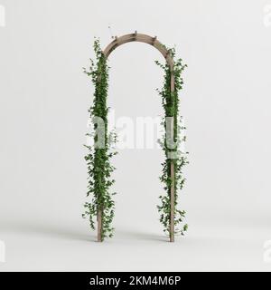 3d illustrazione di edera ad arco in legno isolata su sfondo bianco Foto Stock