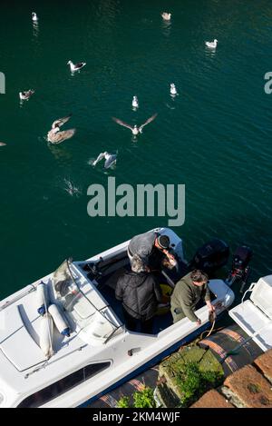 Uomini che eviscerano pesci in una piccola barca al porto di Amlwch sulla costa del Galles del Nord. Foto Stock
