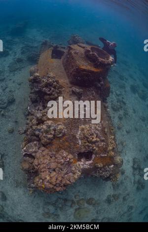 Guerra mondiale 2 carro armato sommerso relitto Foto Stock