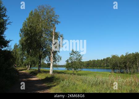 Foresta e prato vicino al fiume ore a Orsa, Svezia in una giornata di sole estate. Foto Stock