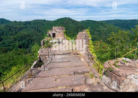 Niedersteinbach: Castello di Wasigenstein nella foresta di Palatinato-Riserva della Biosfera dei Vosgi del Nord (Biosphärenreservat Pfälzerwald-Nordvogesen, Réserve de bios Foto Stock