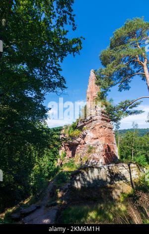 Niedersteinbach: Castello di Wasigenstein nella foresta di Palatinato-Riserva della Biosfera dei Vosgi del Nord (Biosphärenreservat Pfälzerwald-Nordvogesen, Réserve de bios Foto Stock