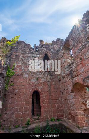 Niedersteinbach: Castello di Wasigenstein nella foresta di Palatinato-Riserva della Biosfera dei Vosgi del Nord (Biosphärenreservat Pfälzerwald-Nordvogesen, Réserve de bios Foto Stock