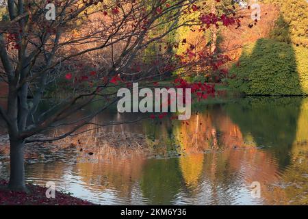 Riflessi di alberi e colori autunnali nel lago a Sheffield Park Garden Sussex Inghilterra Foto Stock