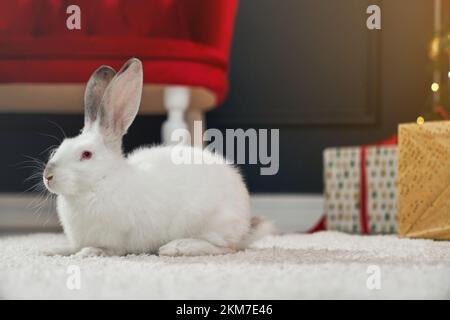 Vista laterale di un coniglio carino e peloso seduto su un tappeto bianco. Simbolo del nuovo anno 2023 che ha photoshoot in studio decorato prima di nuovo anno. Concetto di vacanza e celebrazione. Foto Stock