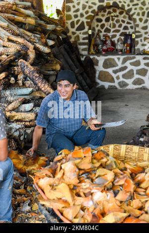 Operaio messicano che trita i cuori di agave arrostiti in un palenque mezcal artigianale, stato di Oaxaca, Messico Foto Stock