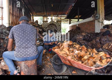 I lavoratori messicani tritano i cuori di agave arrostiti in un mezcal palenque artigianale, stato di Oaxaca, Messico Foto Stock