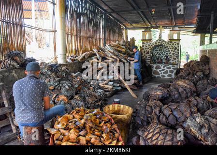 I lavoratori tritano i cuori di agave arrostiti in una fabbrica artigianale di mezcal, stato di Oaxaca, Messico Foto Stock