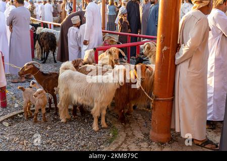 Mercato di capra di Nizwa. Bazar tradizionale di frutta e verdura a Nizwa, Oman. Foto Stock