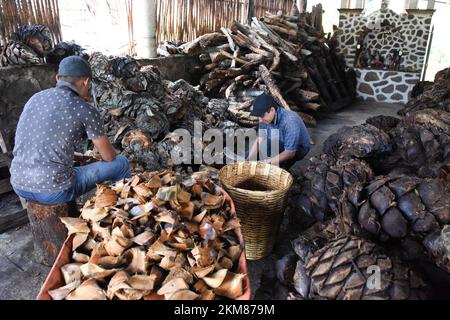 I lavoratori tritano i cuori di agave arrostiti in una fabbrica artigianale di mezcal, stato di Oaxaca, Messico Foto Stock