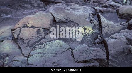 Primo piano di una roccia dai colori vivaci tra rocce di colore scuro su una spiaggia dell'Antartide. Foto Stock