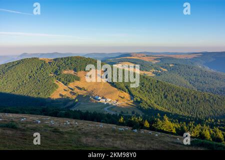 Vosges (Vogesen) Montagne: Vosges (Vogesen) Montagne, Agriturismo ferme Auberge du Haag a col du Haag, pecore in Alsazia (Elsass), Alto Reno (Oberelsass Foto Stock