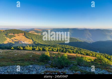 Vosges (Vogesen) Montagne: Vosges (Vogesen) Montagne, Agriturismo ferme Auberge du Haag a col du Haag, pecore in Alsazia (Elsass), Alto Reno (Oberelsass Foto Stock