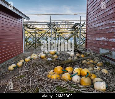 Rastrelliere per la pesca del merluzzo e reti tra due case rosse Foto Stock