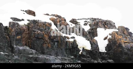 Affioramento roccioso di colore arancione sull'Isola di Half Moon in Antartide. Foto Stock