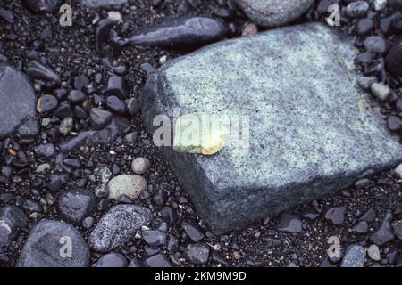 Primo piano di una roccia dai colori vivaci tra rocce di colore scuro su una spiaggia dell'Antartide. Foto Stock