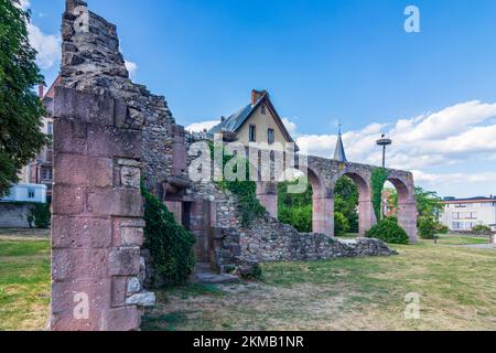 Munster (Münster im Elsass, Minschter) : rovine dell'abbazia di Munster, cicogna bianca (Ciconia ciconia) nidi in Alsazia (Elsass), Alto Reno (Oberelsass), Franc Foto Stock