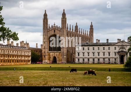 La cappella del King's College in stile neogotico e il Gibbs Building lungo la Kings Parade a Cambridge, Inghilterra. Foto Stock