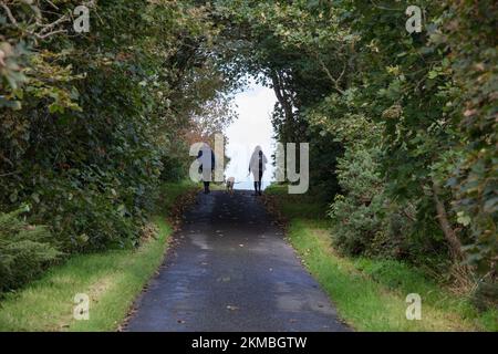 Una breve passeggiata circolare vicino Orphir sulla Mainland Orkney Foto Stock