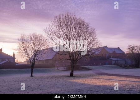 Immagine HDR di 2 alberi in una scena ghiacciata in inverno all'alba Foto Stock