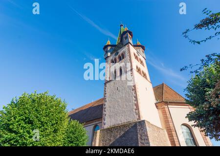 Chatenois (Kestenholz, Keschtaholz) : Chiesa fortificata di Saint-Georges in Alsazia (Elsass), basso Reno (Unterelsass), Francia Foto Stock