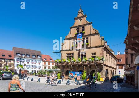 Molsheim: Metzig, ex casa della gilda dei macellai, piazza Place de l'Hotel de Ville in Alsazia (Elsass), basso Reno (Unterelsass), Francia Foto Stock