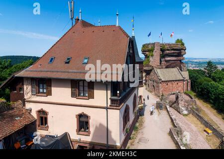 Montagne dei Vosgi (Vogesen): Castello di Hohbarr (Chateau du Haut-Barr) in Alsazia (Elsass), basso Reno (Unterelsass), Francia Foto Stock