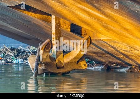 Petroliere ancorate sul Danubio. Vista sull'ancora pesante, nave cisterna ancorata sul Danubio vicino a Novi Sad nell'ambiente autunnale. Foto Stock