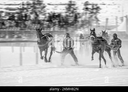 Skijöring gara durante il White Turf a St.Moritz, Svizzera in bianco nero Foto Stock