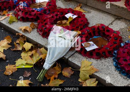 Londra, Regno Unito. 17th Nov 2022. Remembrance le corone e i papaveri della domenica sono esposti al Cenotaph di Londra. (Credit Image: © Tejas Sandhu/SOPA Images via ZUMA Press Wire) Foto Stock