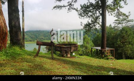 incredibile cervi in legno in un bellissimo giardino Foto Stock