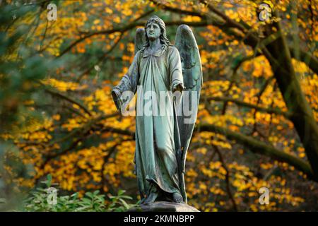 Angelo statua con le ali su un cimitero storico a colonia in autunno Foto Stock