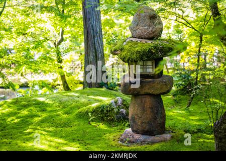 Bella lanterna giapponese toro coperta di muschio nella foresta Foto Stock