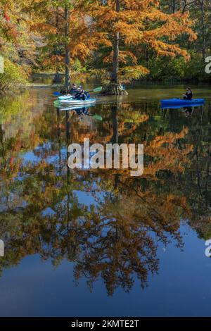 Kayak in autunno, Trap Pond State Park, Delaware Foto Stock