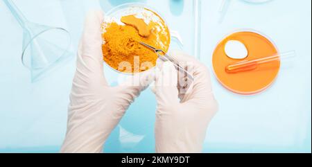 Ricerca medica delle proprietà curcuma con l'aiuto di attrezzature di laboratorio, donna in guanti di prova curcuma polvere. Vista dall'alto. Foto Stock