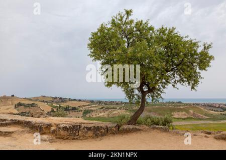 Paesaggio vicino alla Valle dei Templi, Agrigento, Sicilia, Italia, Europa Foto Stock