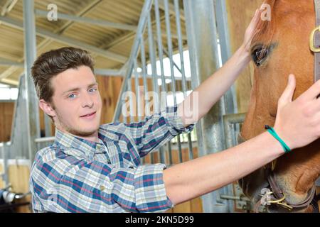 ragazzo stabile che si prende cura del suo cavallo Foto Stock