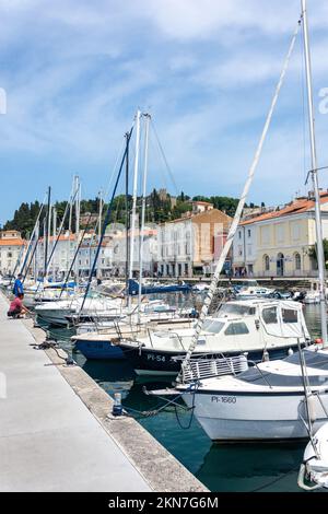 Porto Marina view, Pirano (Pirano), Istria slovena, Slovenia Foto Stock