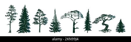 Collezione di silhouette di pino, disegno a mano del doodle, illustrazione in bianco e nero Foto Stock