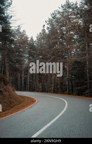 La strada asfaltata vuota attraverso la foresta autunnale, verticale Foto Stock